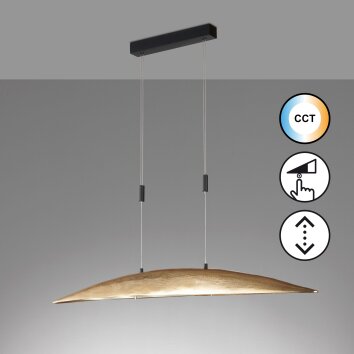 Suspension Fischer & Honsel Colmar LED Noir, 6 lumières