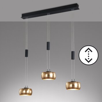 Suspension Fischer & Honsel Colette LED Noir, 3 lumières