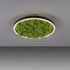 Plafonnier Leuchten-Direkt GREEN RITUS LED Noir, 1 lumière