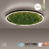 Plafonnier Leuchten-Direkt GREEN RITUS LED Noir, 1 lumière