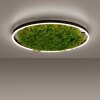 Plafonnier Leuchten-Direkt GREEN RITUS LED Noir, 1 lumière