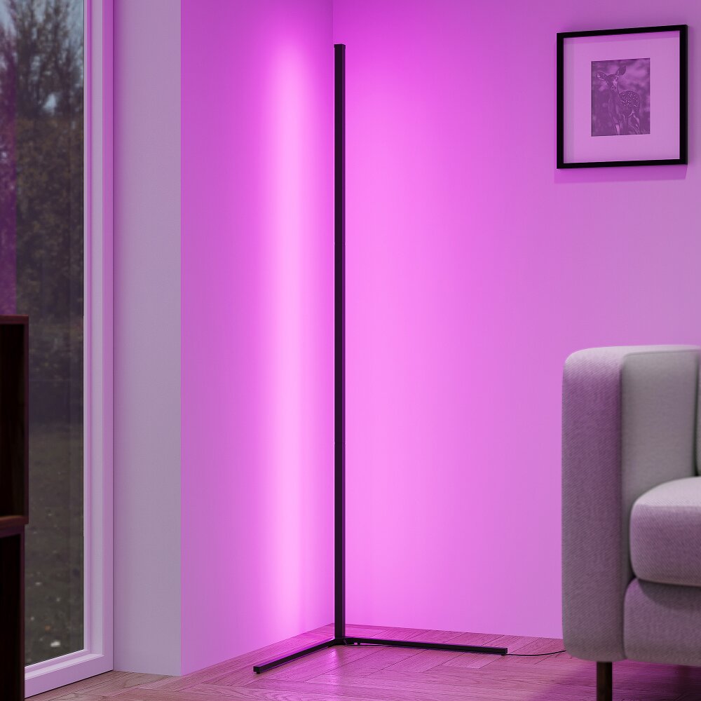 Lampadaire Reality LEVEL LED Noir, 1 lumière, Télécommandes, Changeur de couleurs main product photo