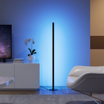 Lampadaire Reality TENDO LED Noir, 1 lumière, Télécommandes, Changeur de couleurs