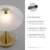 Lampe de table Paul Neuhaus ENOVA LED Laiton, 1 lumière