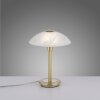 Lampe de table Paul Neuhaus ENOVA LED Laiton, 1 lumière