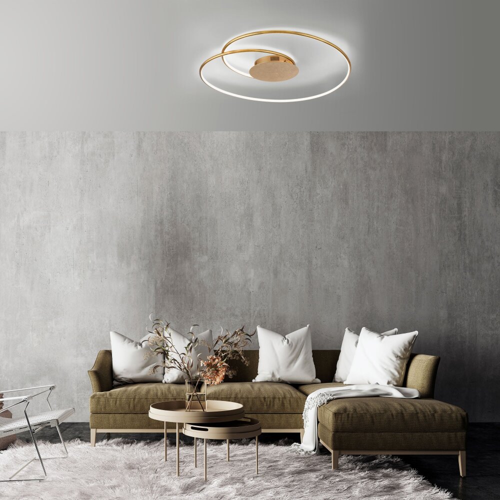Plafonnier Paul Neuhaus NASTRO LED Or, 1 lumière main product photo