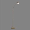 Lampadaire Paul Neuhaus PINO LED Vieux laiton, 1 lumière