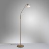 Lampadaire Paul Neuhaus PINO LED Vieux laiton, 1 lumière