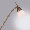 Lampadaire Paul Neuhaus PINO LED Vieux laiton, 1 lumière