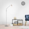 Lampadaire Paul Neuhaus PINO LED Argenté, 1 lumière