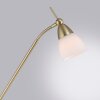 Lampadaire Paul Neuhaus PINO LED Laiton, 1 lumière