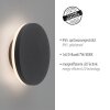 Applique murale d'extérieur Paul Neuhaus PUNTUA LED Anthracite, 1 lumière