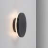 Applique murale d'extérieur Paul Neuhaus PUNTUA LED Anthracite, 1 lumière