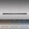Suspension Paul Neuhaus PURE E-MOTION LED Gris, 1 lumière, Télécommandes