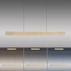 Suspension Paul Neuhaus PURE E-MOTION LED Or, 1 lumière, Télécommandes