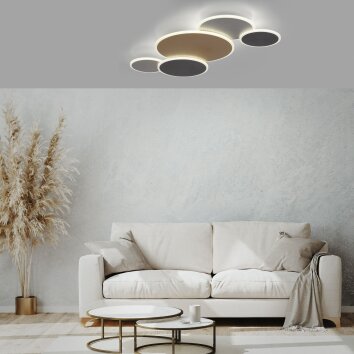 Plafonnier Paul Neuhaus Q-PIATO LED Blanc, 1 lumière, Télécommandes