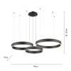 Suspension Paul Neuhaus SCULLI LED Noir, 2 lumières