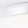 Plafonnier Brilliant Livius LED Argenté, 1 lumière