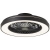 Ventilateur de plafond Brilliant Mazzaro LED Noir, 1 lumière, Télécommandes, Changeur de couleurs