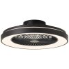 Ventilateur de plafond Brilliant Mazzaro LED Noir, 1 lumière, Télécommandes, Changeur de couleurs