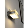 Applique murale Trio 2220 LED Chrome, 1 lumière