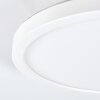 Spot encastrable Pawcatuck LED Blanc, 1 lumière