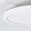 Spot encastrable Pawcatuck LED Blanc, 1 lumière