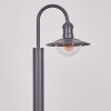 Borne lumineuse Elima Anthracite, 1 lumière