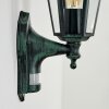 Applique murale d'extérieur Loria Vert, Noir, 1 lumière, Détecteur de mouvement