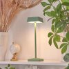 Lampe de table Algeraz LED Vert, 1 lumière