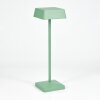 Lampe de table Algeraz LED Vert, 1 lumière