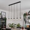 Suspension - Verre Gastor Clair, 5 lumières
