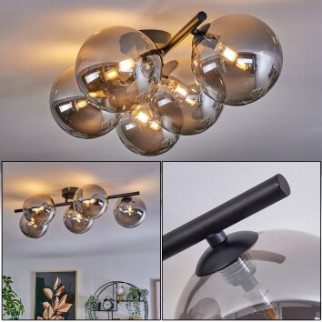 Plafonnier Chehalis Fumé, 5 lumières Plafonnier Chehalis Fumé, 5 lumières