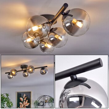 Plafonnier Chehalis Clair, Fumé, 5 lumières Plafonnier Chehalis Clair, Fumé, 5 lumières