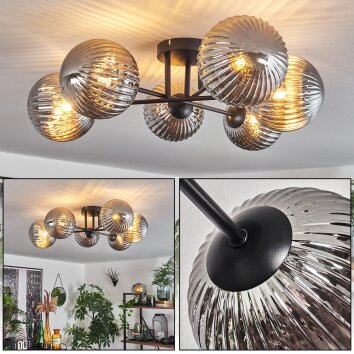 Plafonnier Chehalis Fumé, 6 lumières