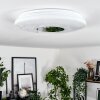 Plafonnier Lumsden LED Blanc, 1 lumière, Détecteur de mouvement
