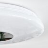 Plafonnier Lumsden LED Blanc, 1 lumière, Détecteur de mouvement