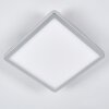 Spot encastrable Pawcatuck Chrome, Blanc, 1 lumière