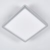 Spot encastrable Pawcatuck LED Chrome, Blanc, 1 lumière