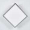 Spot encastrable Pawcatuck Chrome, Blanc, 1 lumière