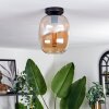 Plafonnier - Verre Apedo Ambre, 1 lumière