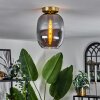 Plafonnier - Verre Apedo Laiton, 1 lumière