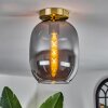 Plafonnier - Verre Apedo Laiton, 1 lumière