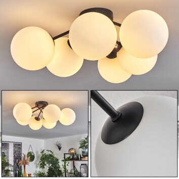 Plafonnier Chehalis Blanc, 6 lumières Plafonnier Chehalis Blanc, 6 lumières