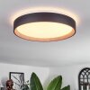 Plafonnier Sassemte LED Blanc, 1 lumière