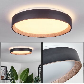 Plafonnier Sassemte LED Blanc, 1 lumière