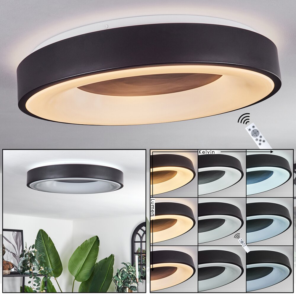 Plafonnier Palanko LED Blanc, 1 lumière, Télécommandes main product photo