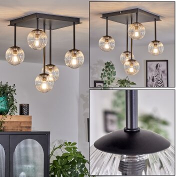 Plafonnier - Verre Chehalis Clair, 5 lumières