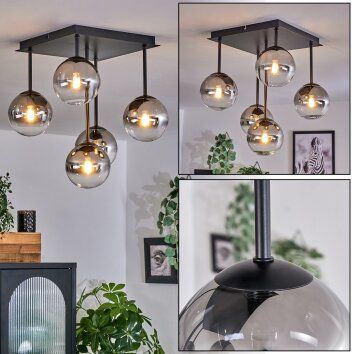 Plafonnier - Verre Chehalis Clair, Fumé, 5 lumières