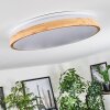 Plafonnier Sofo LED Blanc, 1 lumière, Télécommandes